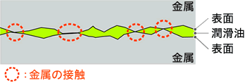 接触面の断面図